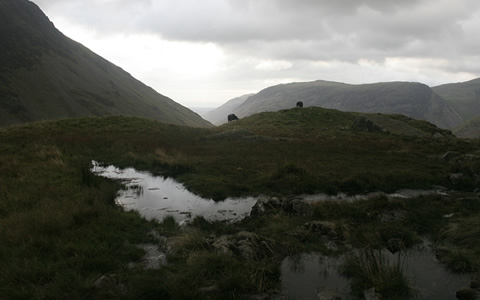 In the Lakes.